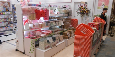 مشروع مخزن العلامة التجارية اليابان 1800m2 طابقين 2016