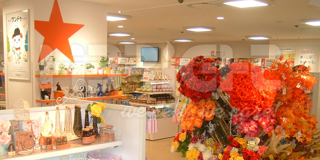 مشروع مخزن العلامة التجارية اليابان 1800 م 2 طابقين 2016-18