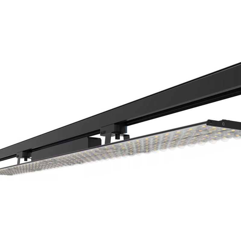 الضوء الخطي المسار النحيف