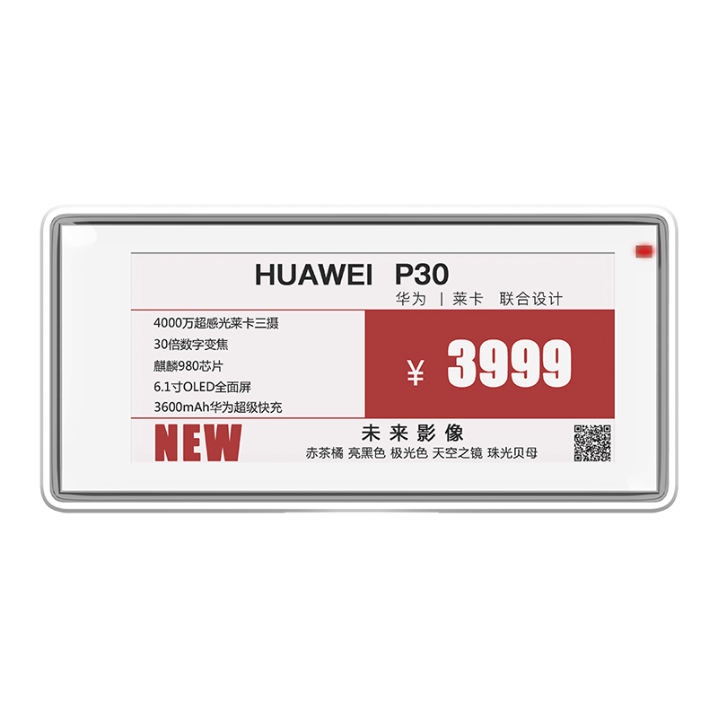 2.9 بوصة Pricer ESL