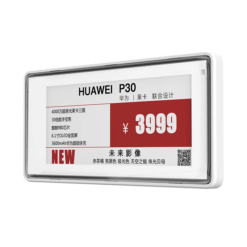 2.9 بوصة Pricer ESL