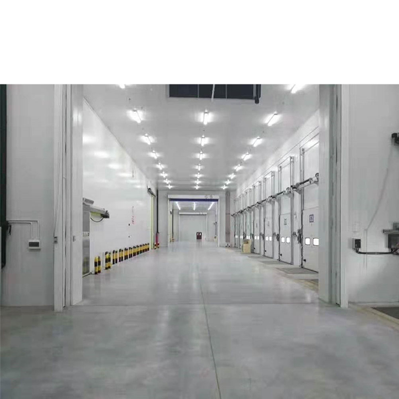 40cbm غرفة باردة للحوم المجمدة والأسماك المجمدة